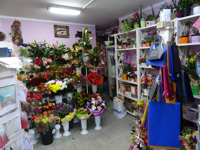 Отзиви за Цветя и подаръци в София - Цветарница
