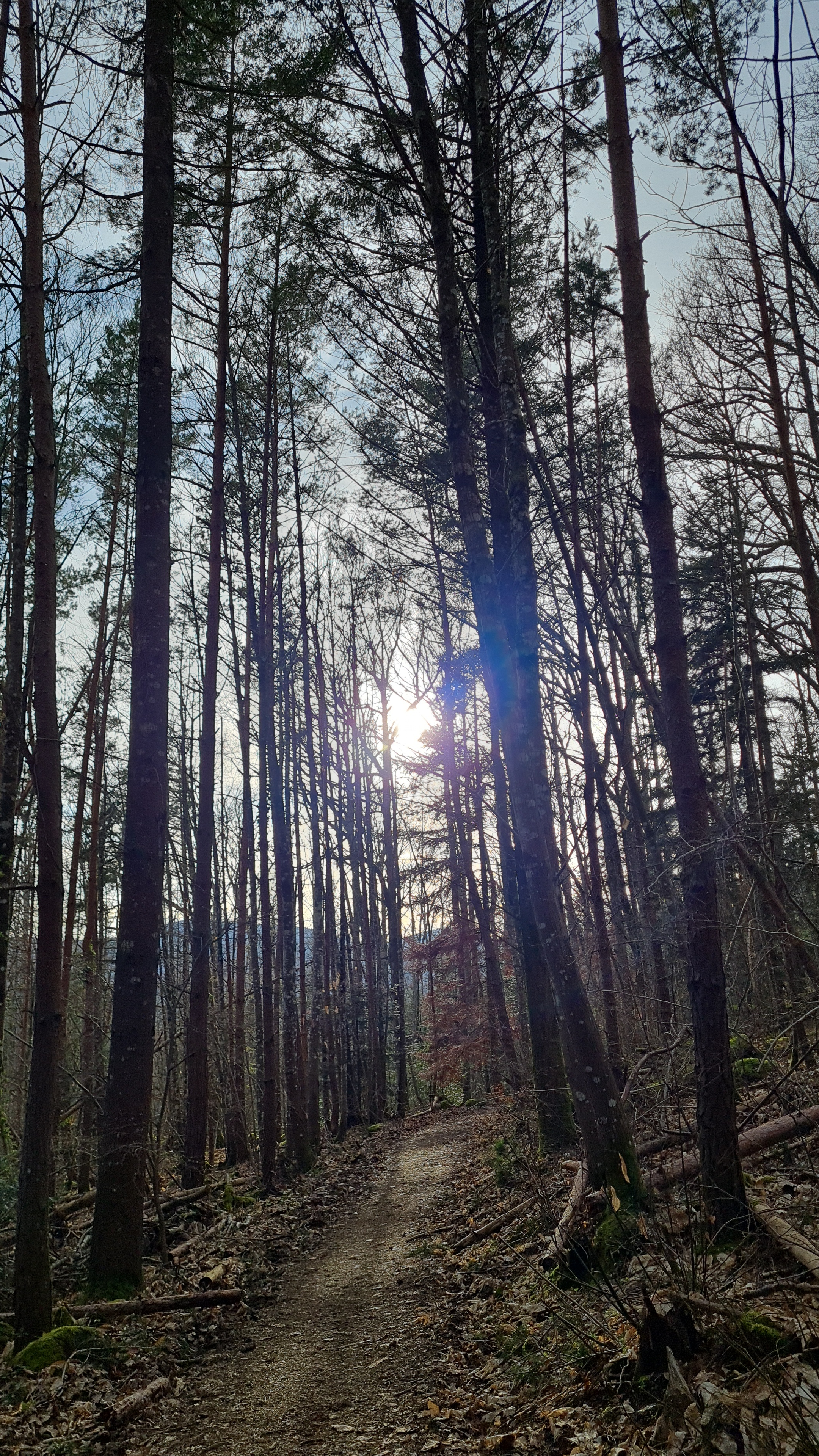 Photo n° 1 de l'avis de Michèle.u fait le 15/03/2024 à 04:17