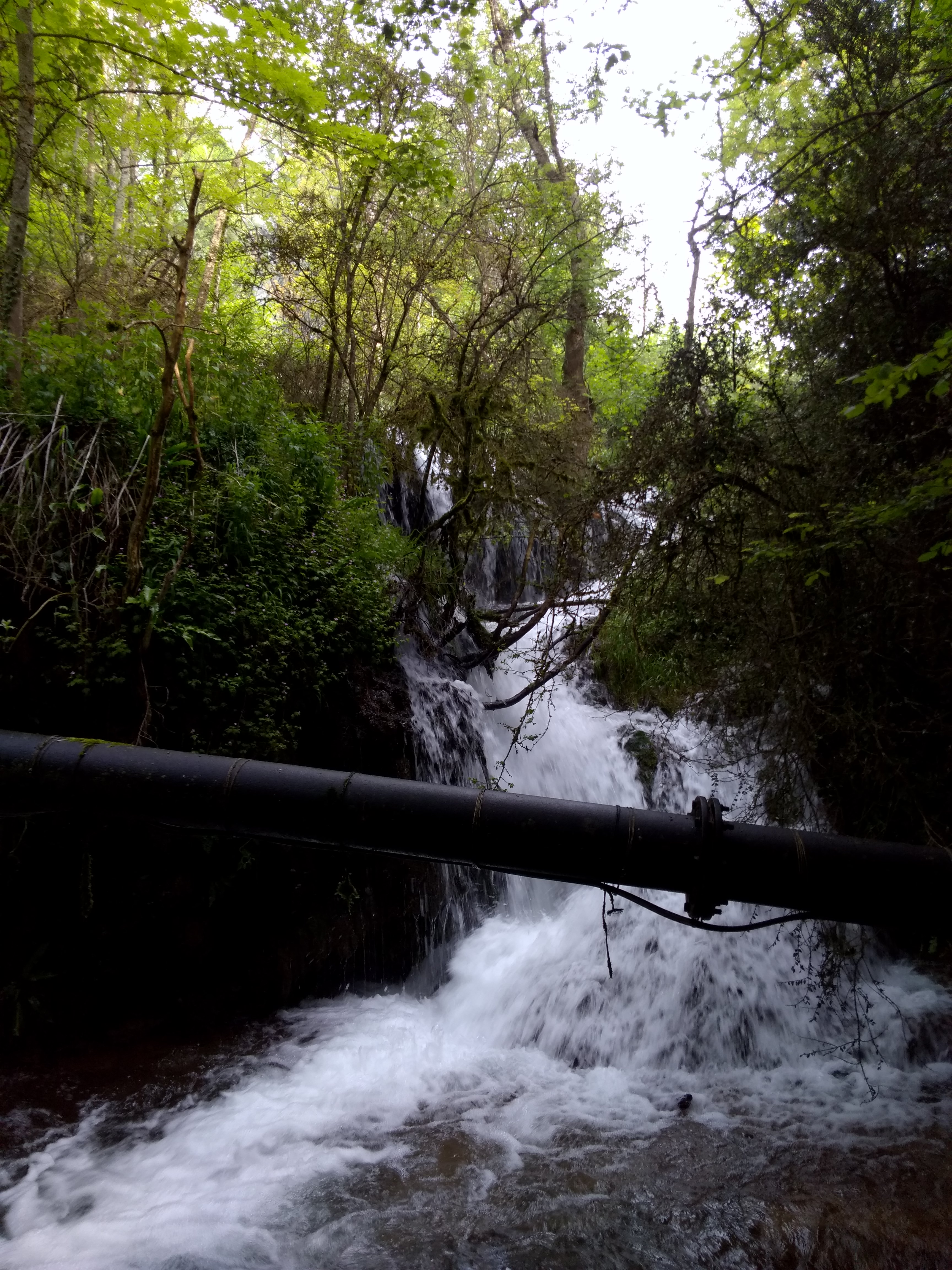 Photo n° 7 de l'avis de Thierry.v fait le 27/06/2018 à 10:34