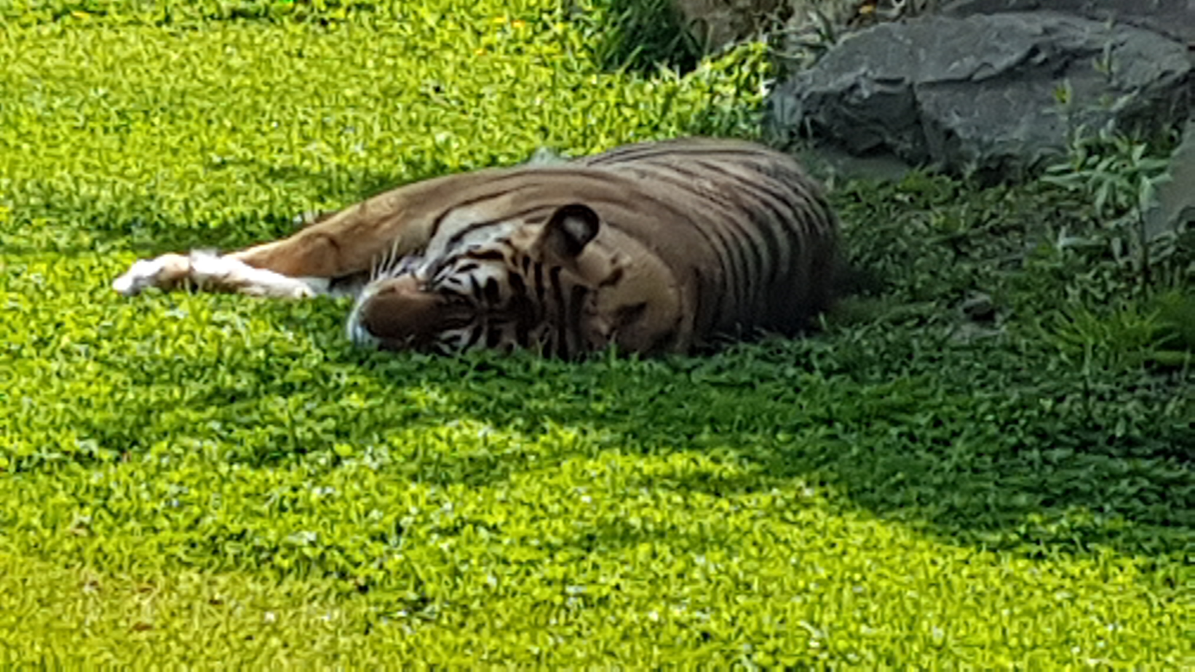 Photo n° 42 de l'avis de Dominique.A fait le 21/05/2019 à 20:35