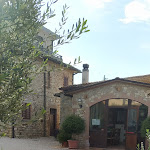 Photo n°2 de l'avis de Francesca.u fait le 18/10/2022 à 09:49 sur le  Ristorante la Mulinella à Todi