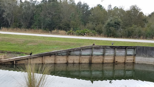 Insurance Agency «GEICO Corporate Office», reviews and photos