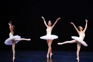 Ballets Artémis image