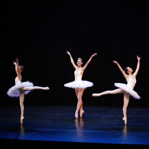 Ballets Artémis à Fontenay-le-Fleury