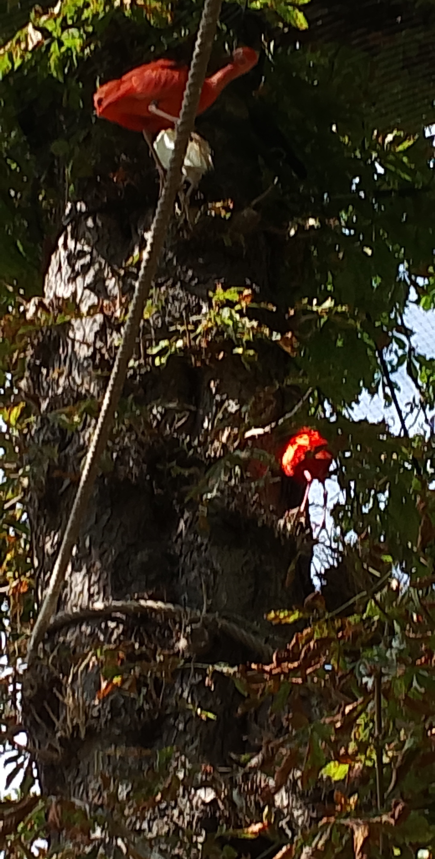 Photo n° 1 de l'avis de Baco.x fait le 28/02/2023 à 10:19