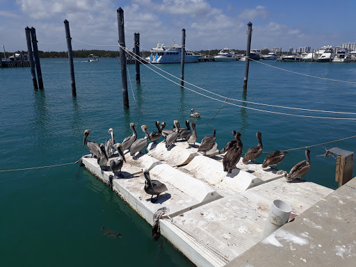 Park «Haulover Park», reviews and photos, 10800 Collins Ave, Miami Beach, FL 33154, USA