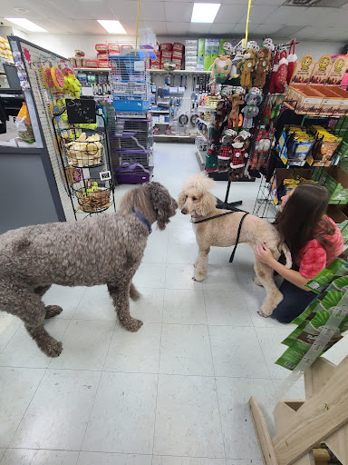 Pet Store «Inland Reef Pet Store», reviews and photos, 817 Cross Lanes Dr, Cross Lanes, WV 25313, USA