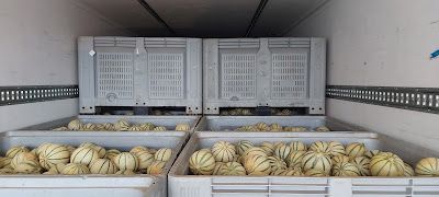 Sa Mourgues Fruits à Moissac
