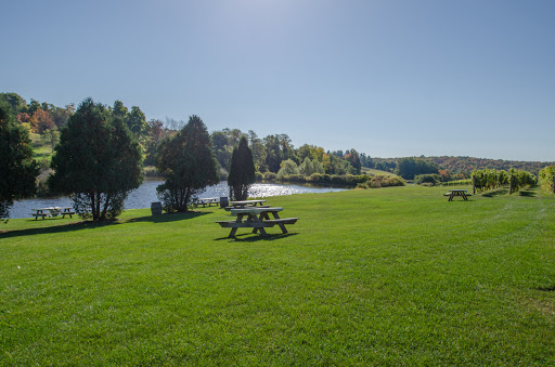 Winery «Millbrook Vineyards & Winery», reviews and photos, 26 Wing Rd, Millbrook, NY 12545, USA