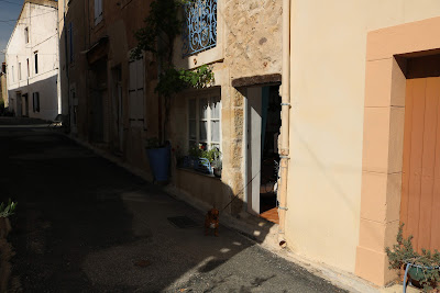 Maison des Fleurs à Thézan-des-Corbières