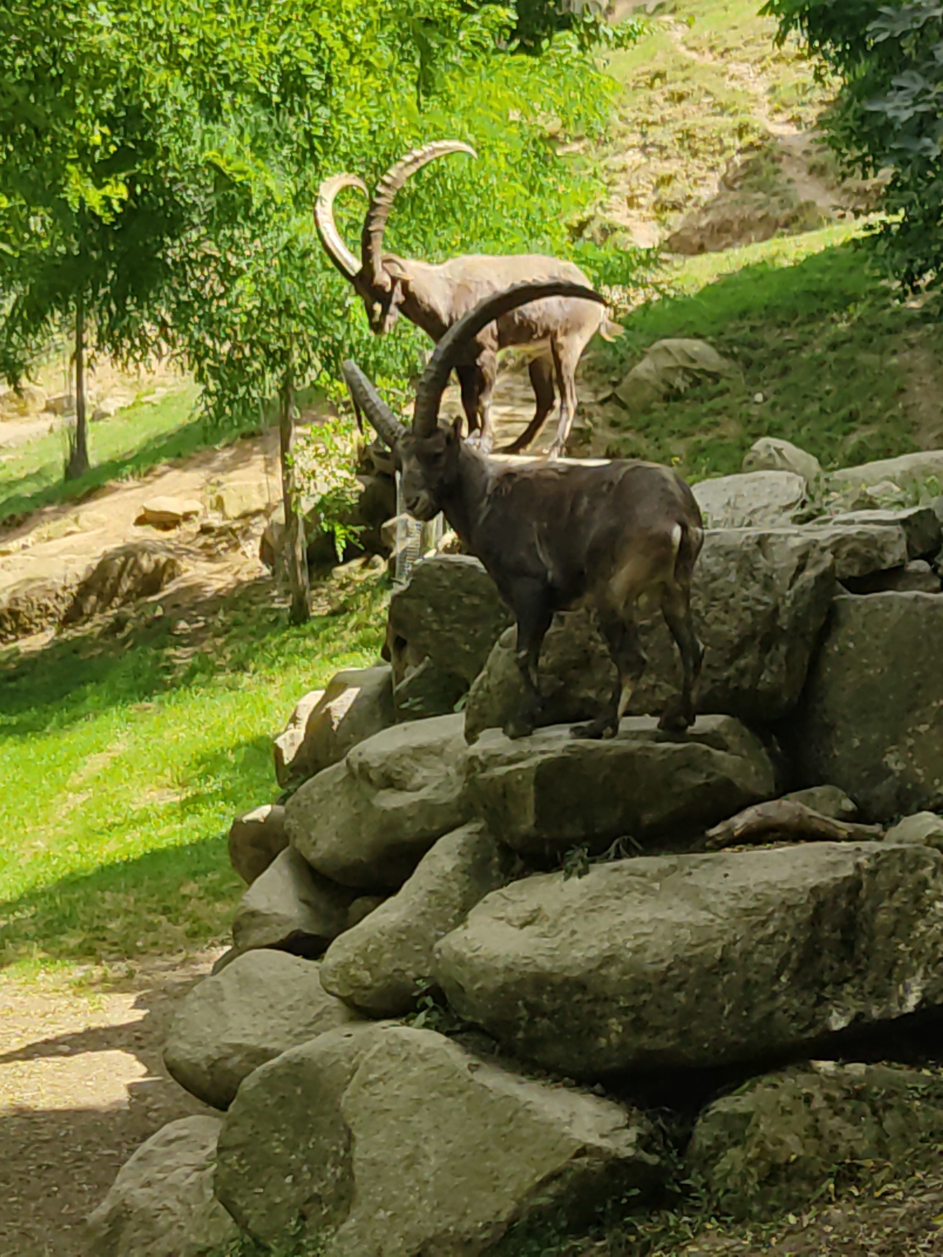 Photo n° 5 de l'avis de David.i fait le 18/11/2019 à 20:29