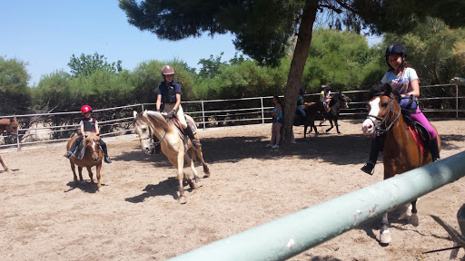Escuela de equitación y Pony Club Perales del Rio