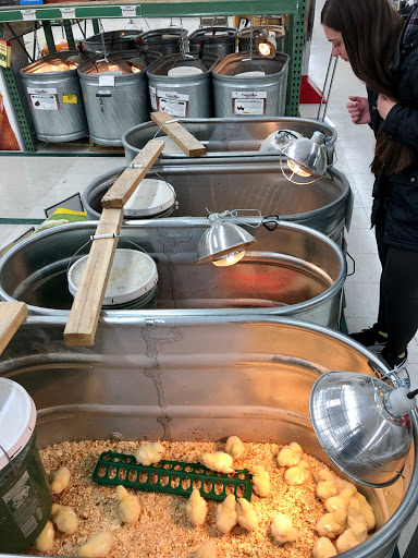 Farm Equipment Supplier «Family Farm & Home», reviews and photos, 1040 S Main St, Chelsea, MI 48118, USA