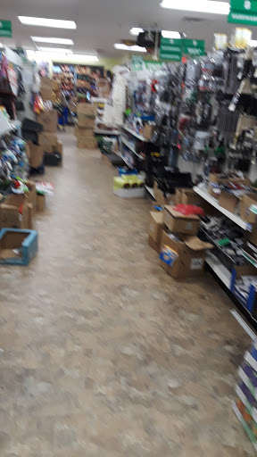 Dollar Store «Dollar Tree», reviews and photos, 352 Central Ave, East Orange, NJ 07018, USA