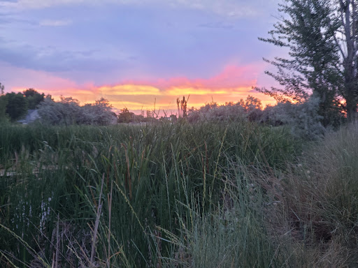 Nature Preserve «Wilson Springs Ponds», reviews and photos, 3209-3507 S Powerline Rd, Nampa, ID 83686, USA