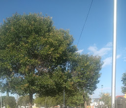 Universo 2000 Park photo