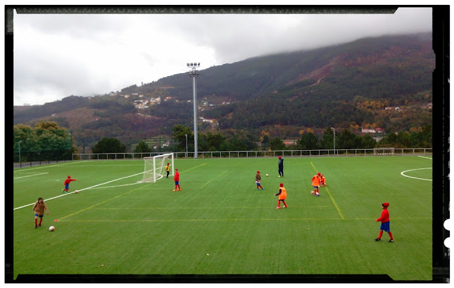 Estádio Municipal De Ribeira De Pena