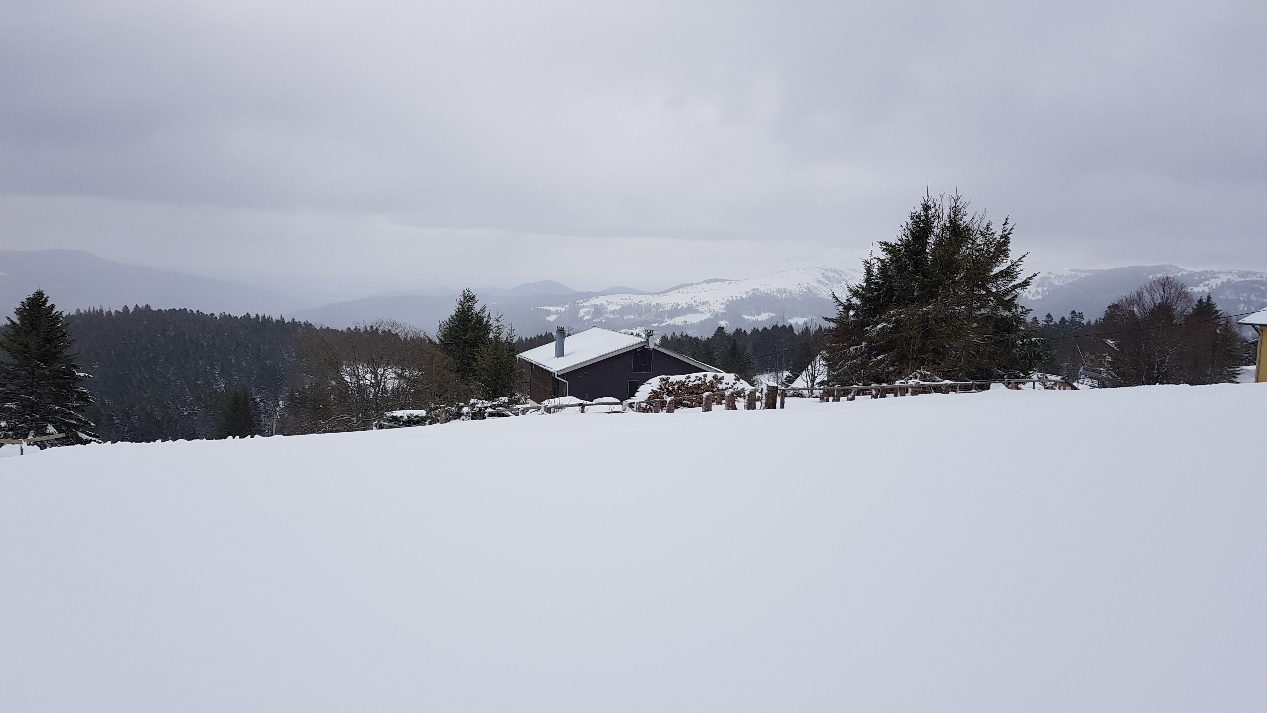 Photo n° 7 de l'avis de B..a fait le 18/03/2021 à 14:06