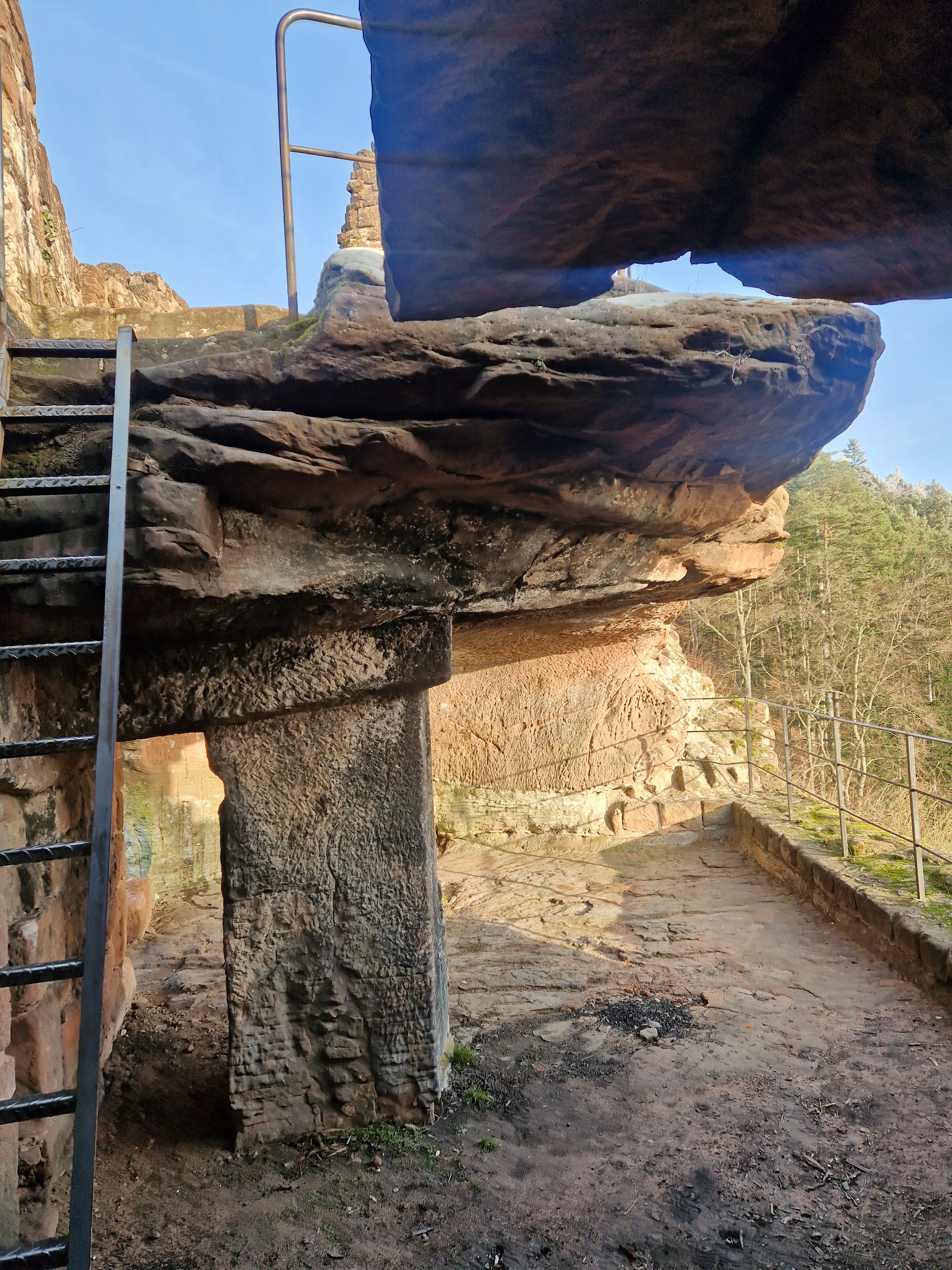 Photo n° 9 de l'avis de Beno. fait le 14/01/2024 à 20:33