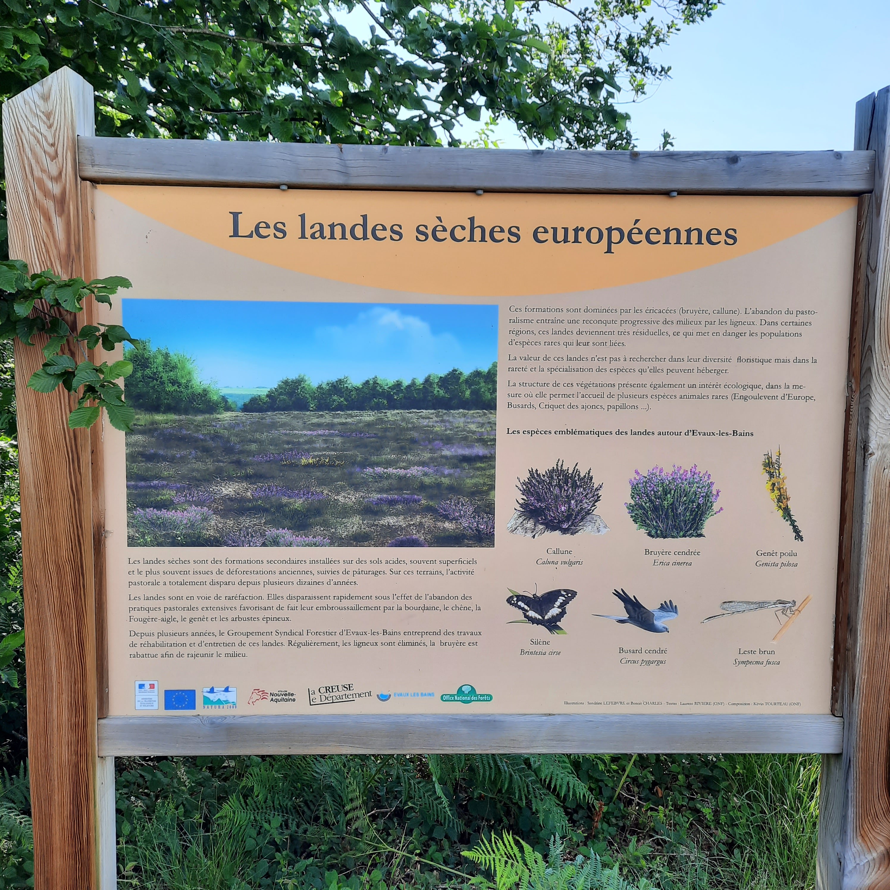 Photo n° 10 de l'avis de Béatrice.O fait le 15/06/2022 à 16:50
