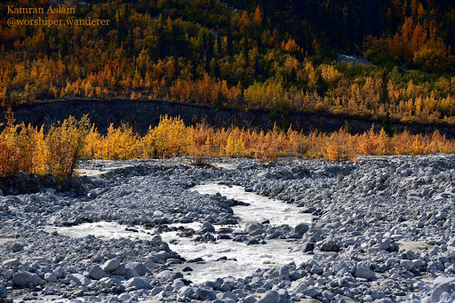 National Park «Wrangell-St. Elias National Park & Preserve», reviews and photos