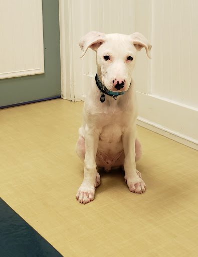 357 Forest Rd, Mahwah, NJ 07430, USA