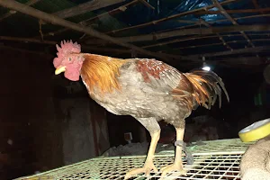 Chicken Corner image