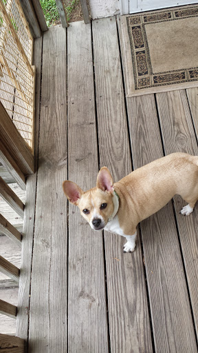 Public Golf Course «Neshaminy Valley Golf Club - OPEN to PUBLIC», reviews and photos, 440 Almshouse Rd, Richboro, PA 18954, USA