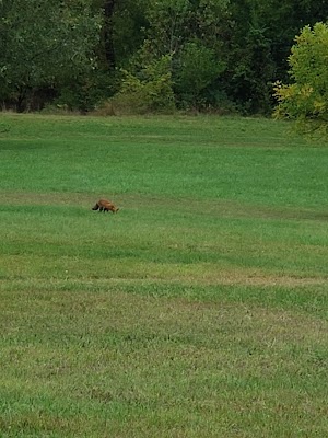 Max E. Roper Park - photo 31