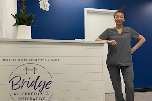 Bridge Holistic Integrative Medicine - Bridge to Health, Longevity & Vitality image