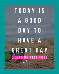 The Bug Doctor Pest Control - Photo 8 - Car repair in Port St. Lucie, FL, Port St. Lucie