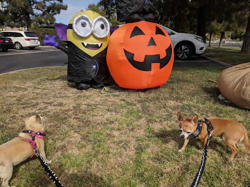 East Lake Village Community Association image