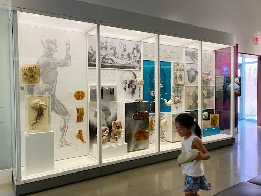 Museum «National Museum of Health and Medicine», reviews and photos, 2500 Linden Ln, Silver Spring, MD 20910, USA