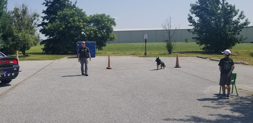 Event Planner «Leaping Lizards, LLC», reviews and photos, 56 Artisan Dr, Smyrna, DE 19977, USA