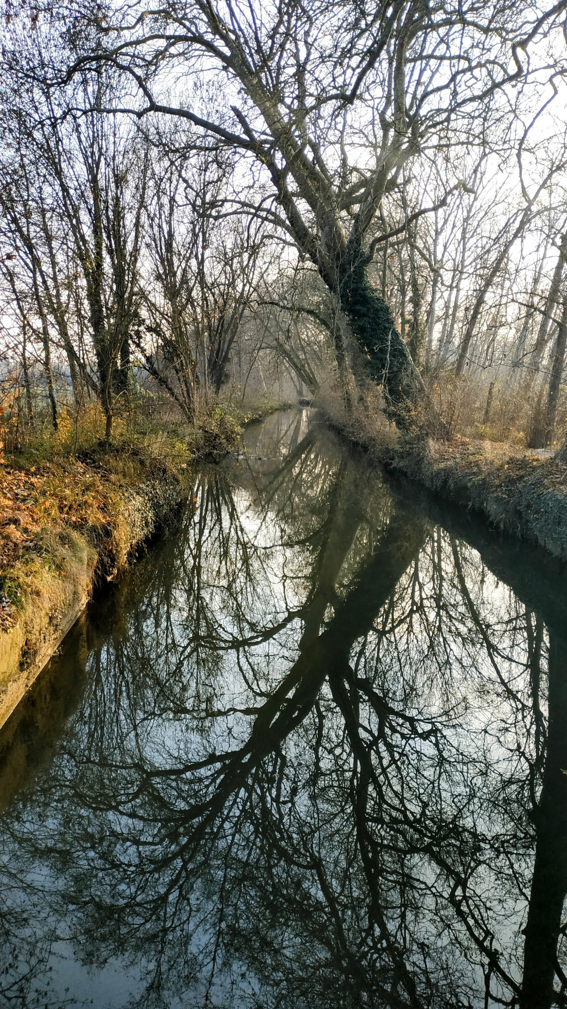 Photo n° 20 de l'avis de The.a fait le 28/12/2022 à 17:01