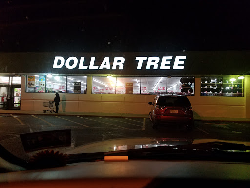 Dollar Store «Dollar Tree», reviews and photos, 508 S White Horse Pike, Somerdale, NJ 08083, USA