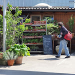 Photo n°2 de l'avis de Manuela.a fait le 21/05/2020 à 11:55 sur le  Gartenwirtschaft Johanneshof à Hockenheim