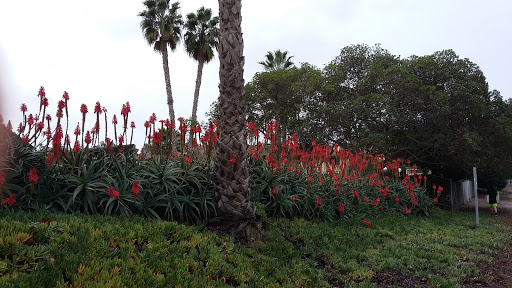 Public Golf Course «Chula Vista Golf Course», reviews and photos, 4475 Bonita Rd, Bonita, CA 91902, USA