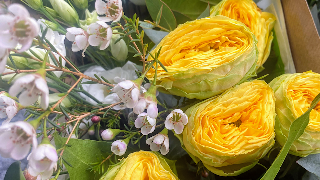 Reviews of The Bloom Room - Longridge in Preston - Florist