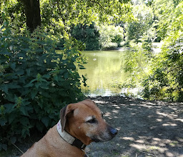 Tippelsberg–Berger Mühle photo