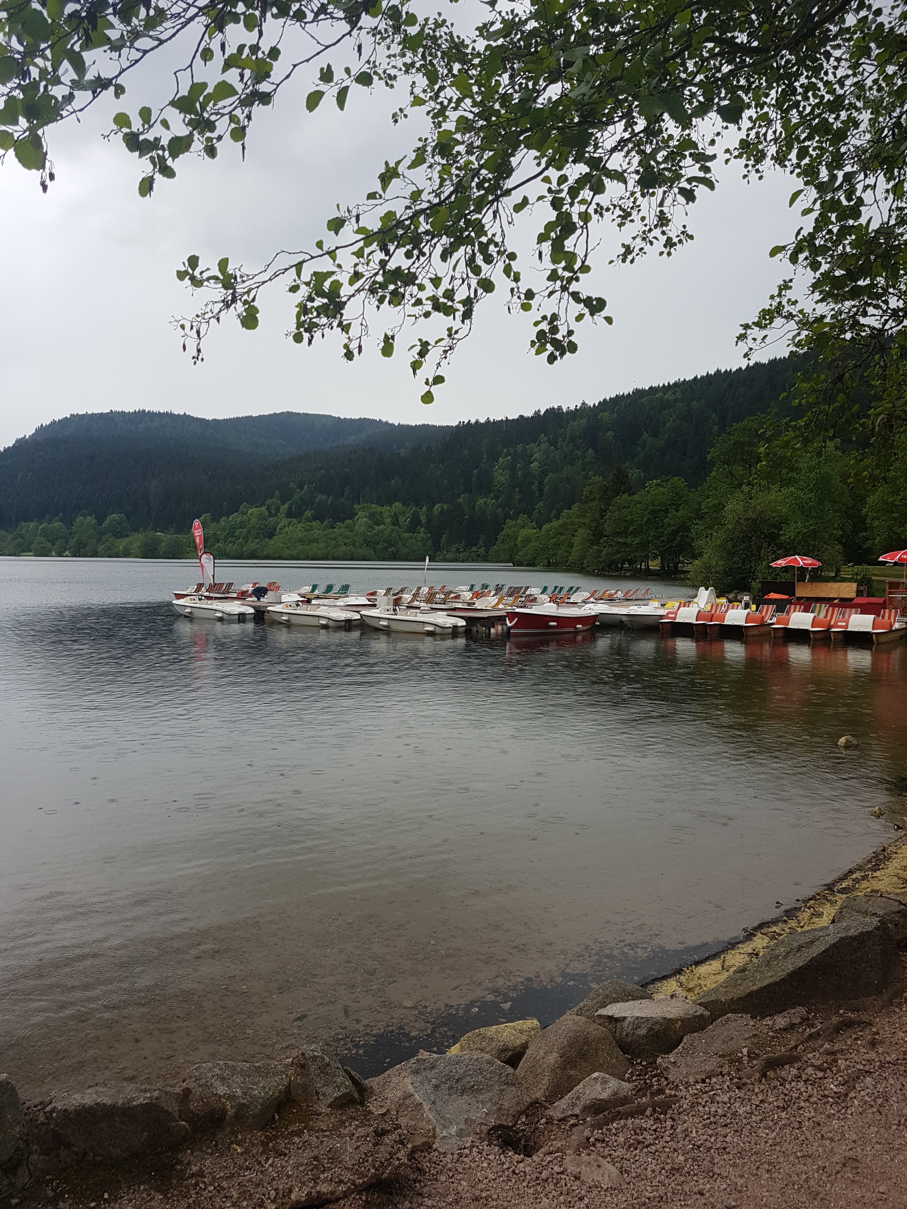 Photo n° 2 de l'avis de Francesco.' fait le 28/05/2018 à 09:57