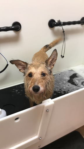 Pet Supply Store «EarthWise Pet», reviews and photos, 4880 Lower Roswell Rd #10, Marietta, GA 30068, USA