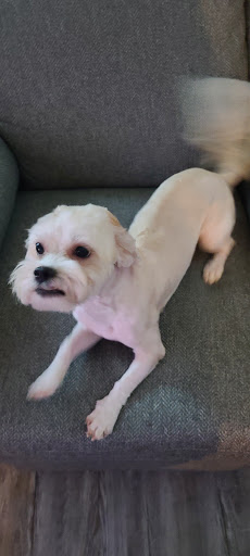 Pet Supply Store «Petco Animal Supplies», reviews and photos, 1680 Campbell Ln, Bowling Green, KY 42104, USA