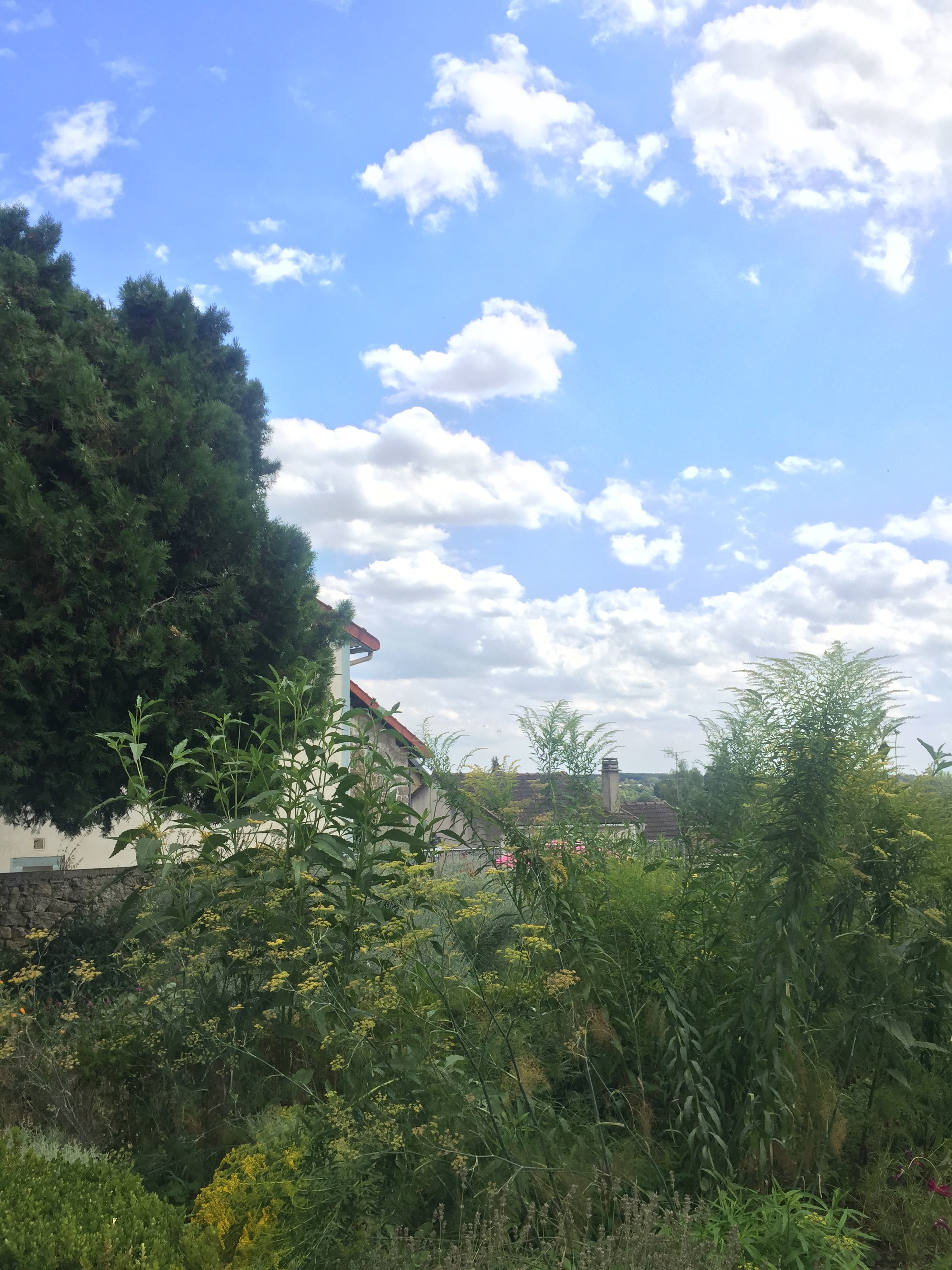 Photo n° 3 de l'avis de Yoey. fait le 11/08/2018 à 12:03
