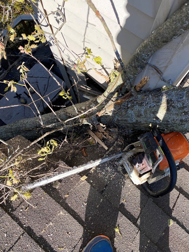 General Contractor «Krech Exteriors», reviews and photos, 5866 Blackshire Path, Inver Grove Heights, MN 55076, USA