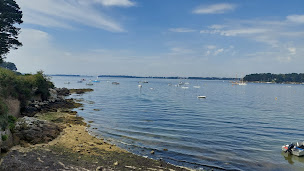 Photo n°45 de La Terrasse de l'Île à Île-aux-Moines ()