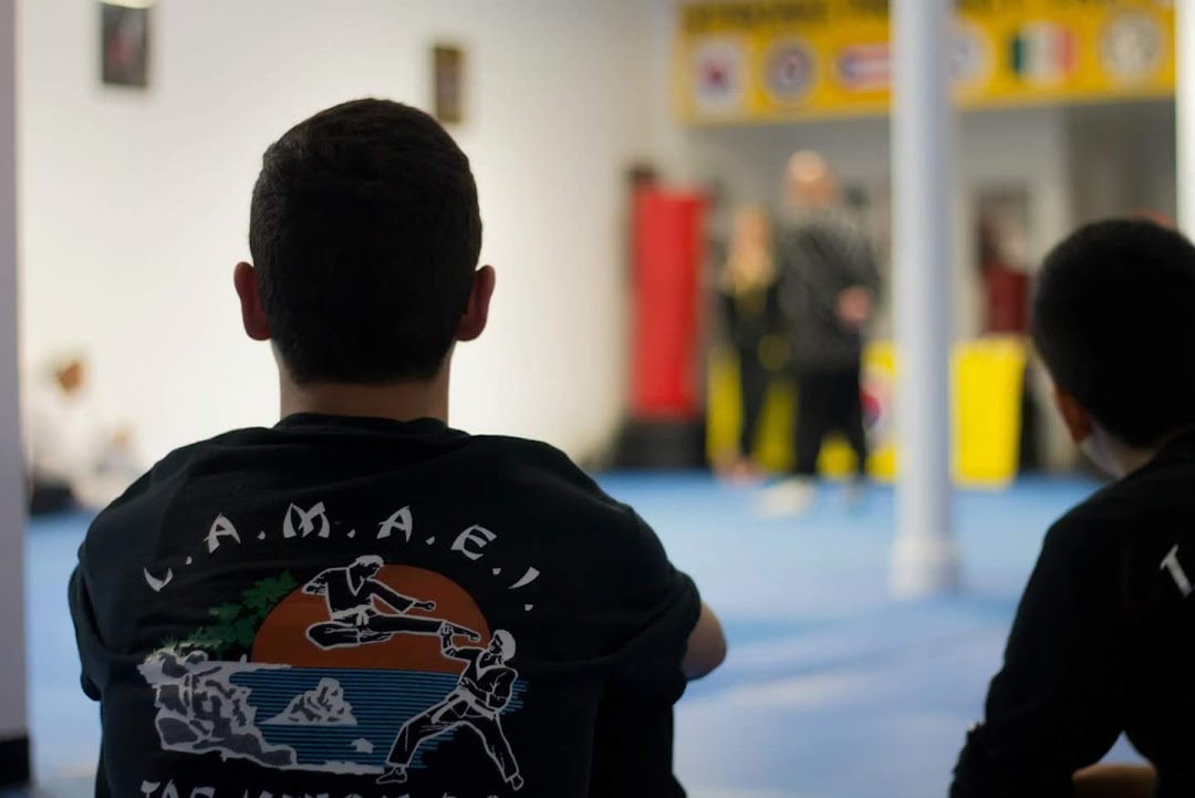 Rodriguez Taekwondo Academy