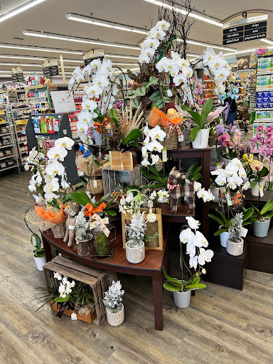 Vons image