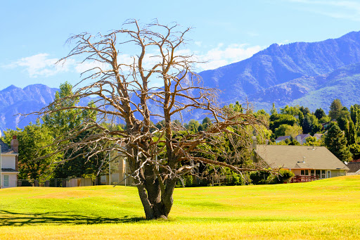 Country Club «Hidden Valley Country Club», reviews and photos, 11820 S Highland Dr, Sandy, UT 84092, USA