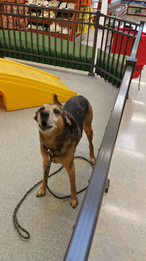 Pet Supply Store «Pet Food Express», reviews and photos, 9153 W Olympic Blvd, Beverly Hills, CA 90212, USA